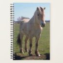 Search for fjord horse Animal