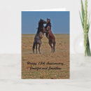 Search for horses anniversary cards Equestrian