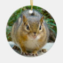Search for chipmunk ornaments Funny