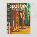 Search for giant postcards Sequoia national park