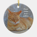 Search for tabby cat ornaments Feline