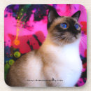 Search for cork back coasters Set