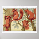 Search for squirrel posters Illustration