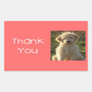 Search for goldendoodle stickers Thank you