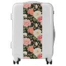 Search for vintage luggage Pastel