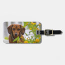 Search for dog luggage tags doxie