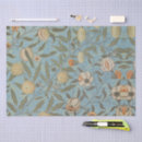 Search for fruit tissue paper Botanical