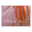 Search for blank thank you cards Colorful