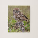 Search for owl puzzles Bird