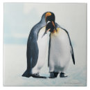 Search for penguin tiles Animal