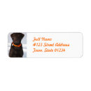 Search for labrador return address labels Retriever
