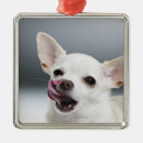 Search for veterinarian ornaments Animals