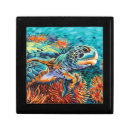 Search for turtle gift boxes Coastal