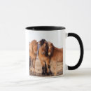 Search for iceland mugs Herd