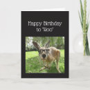 Search for kangaroo birthday cards Animal
