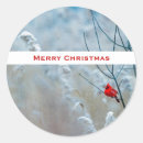 Search for red cardinal stickers Branch