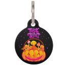 Search for pumpkin pet tags Kawaii