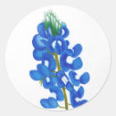Search for bluebonnet stickers Flower