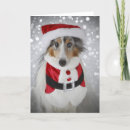 Search for sheltie christmas cards Santa