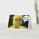 Search for baby sayings cards Duckling