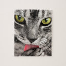 Search for grey cat puzzles Animals