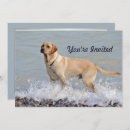 Search for beach party dogs invitations Ocean