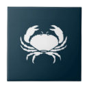 Search for kitchen backsplash tiles Coastal