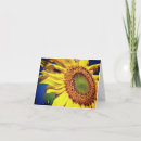 Search for blank note cards Sunflower