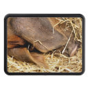 Search for pig trailer hitch covers Animals