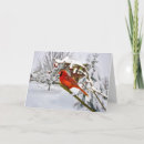Search for wildlife christmas cards Cardinal