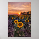 Search for 20x30 posters Landscape