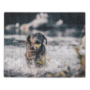 Search for labrador puzzles Water