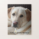 Search for yellow lab puzzles Dog lover
