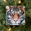 Search for tiger ornaments Jungle