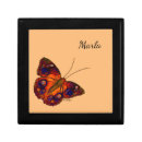 Search for butterfly gift boxes Wildlife
