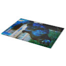 Search for photo cutting boards Blue