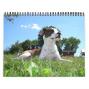 Search for snake calendars Animals