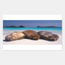 Search for sea lion stickers Nautical