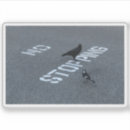 Search for crow stickers Birds