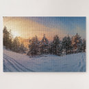 Search for frozen puzzles Forest
