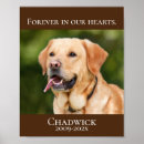 Search for pet memorial posters Dog