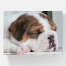 Search for english bulldog office supplies Cute