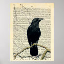 Search for edgar allan poe posters raven