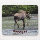 Search for moose mousepads Nature