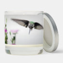 Search for hummingbirds candles Wildlife