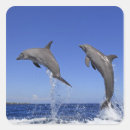 Search for motion stickers Nature