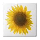 Search for motivational quotes tiles Flowers