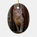Search for brown tabby cat ornaments Animals