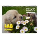 Search for labrador retriever gifts Cute