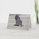 Search for eagle birthday cards Happy